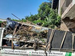 Best Shed Removal  in Poth, TX